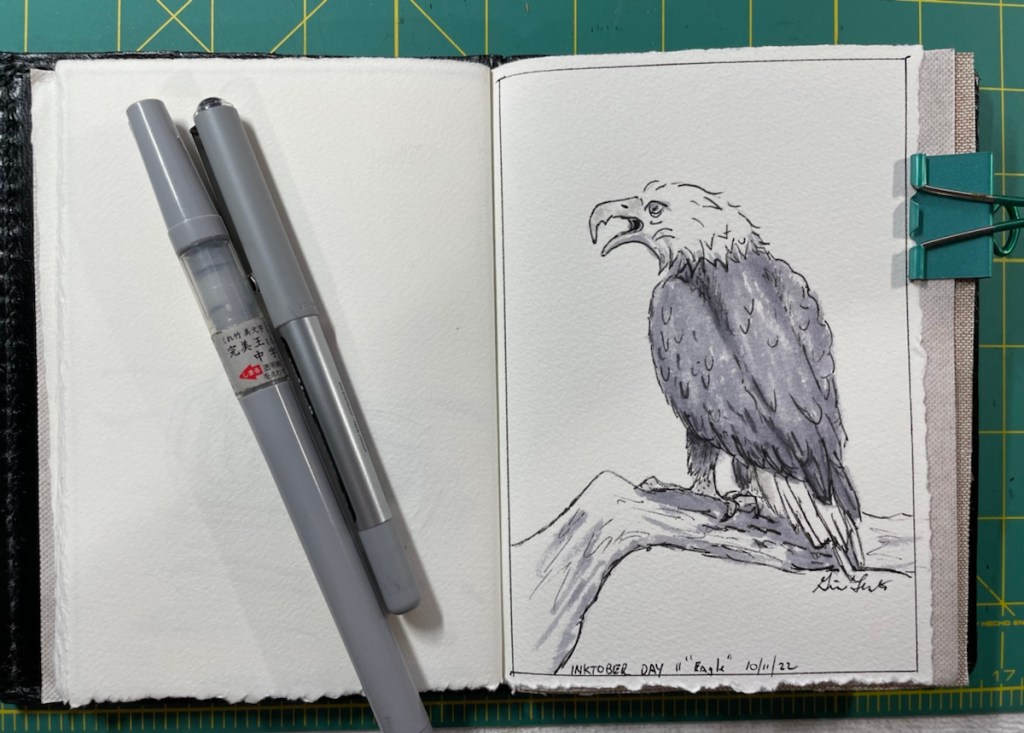 Inktober Day 11
Eagle
Pen and ink drawing of an eagle on a large branch, making some noise 