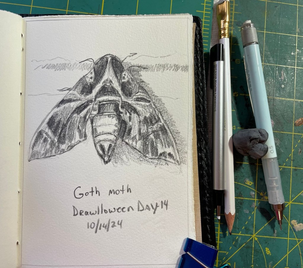 Pencil drawing of a moth meant to be a goth moth.  Interesting patterning on the wings