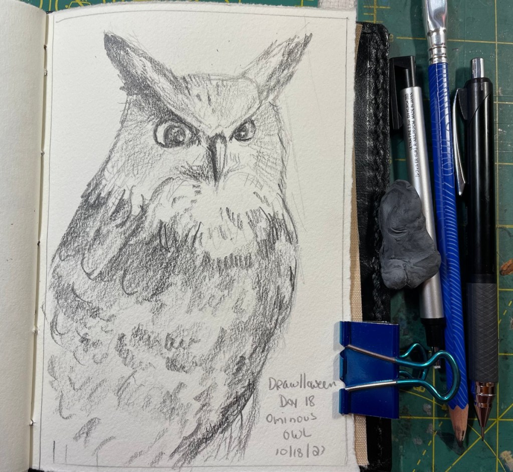 Pencil drawing of an ominous owl, who actually looks pretty annoyed.  Reference photo from the Museum App.