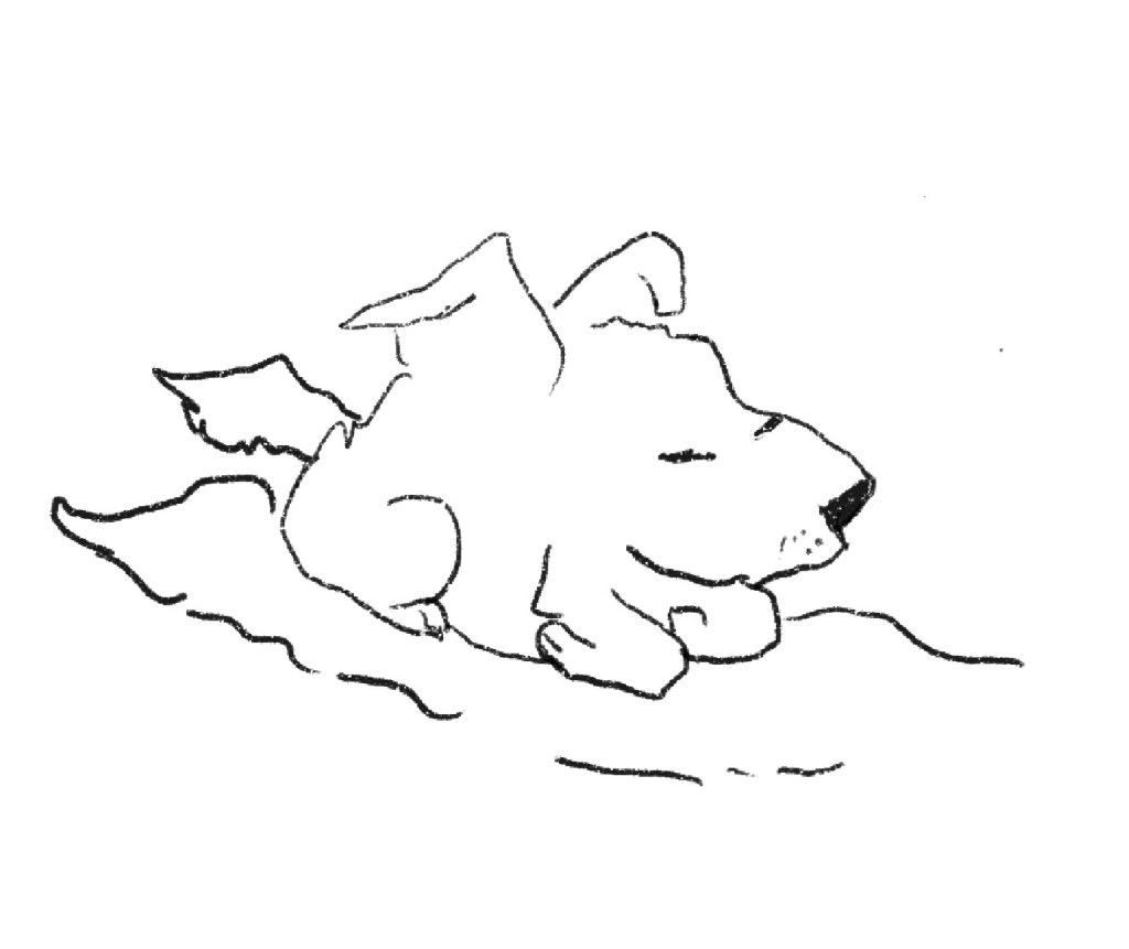 Blob Character redrawn in Procreate